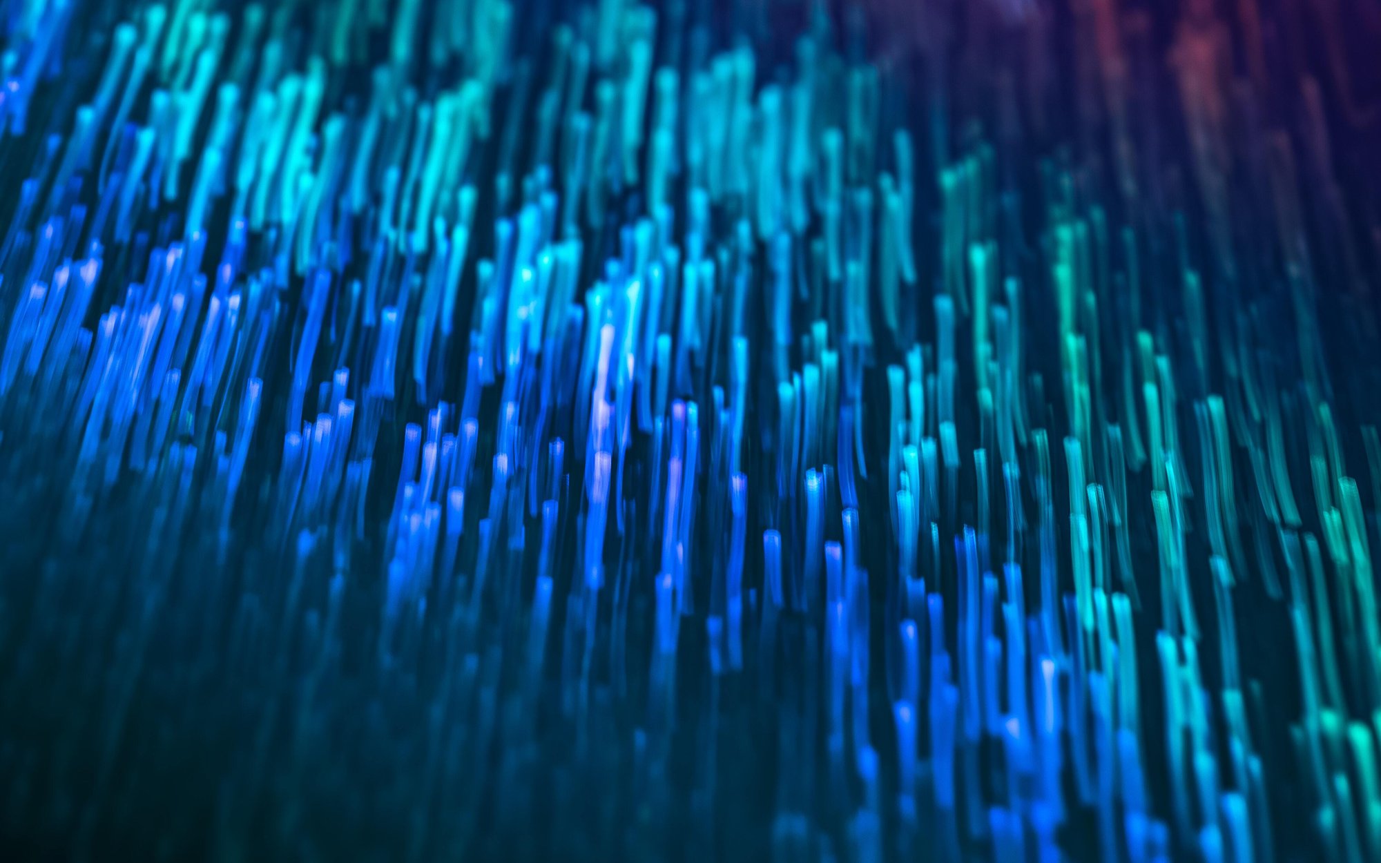 pexels-marek-piwnicki-12489187 pexels-marek-piwnicki-12489187